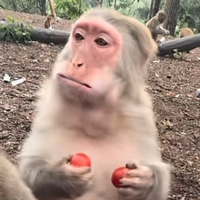 睡不醒的吴叔叔 报名时间：2026-02-03 16:17