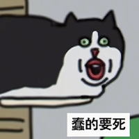 NNT 报名时间：2019-12-28 20:49