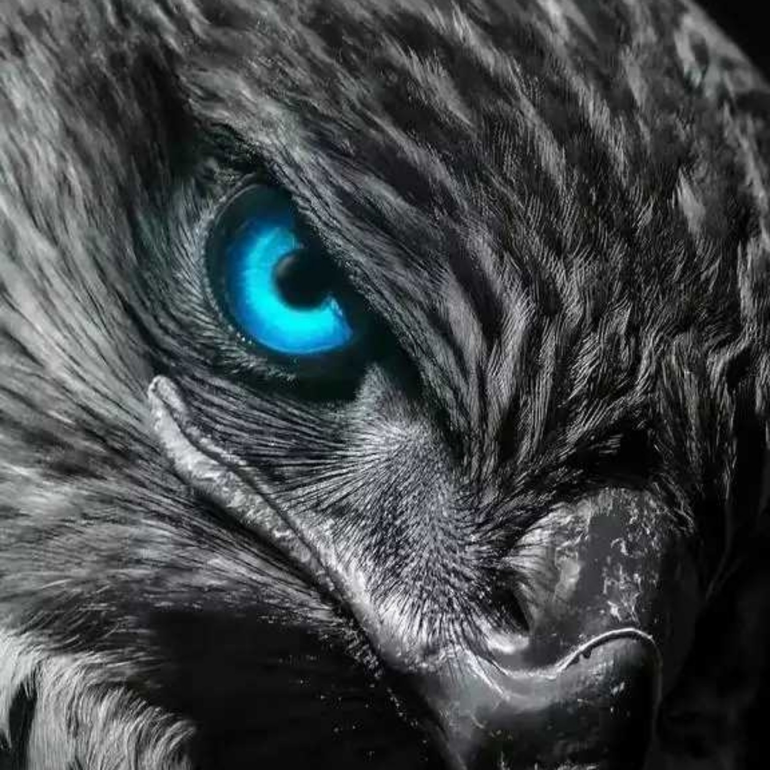 王雪峰 报名时间：2018-03-07 14:30