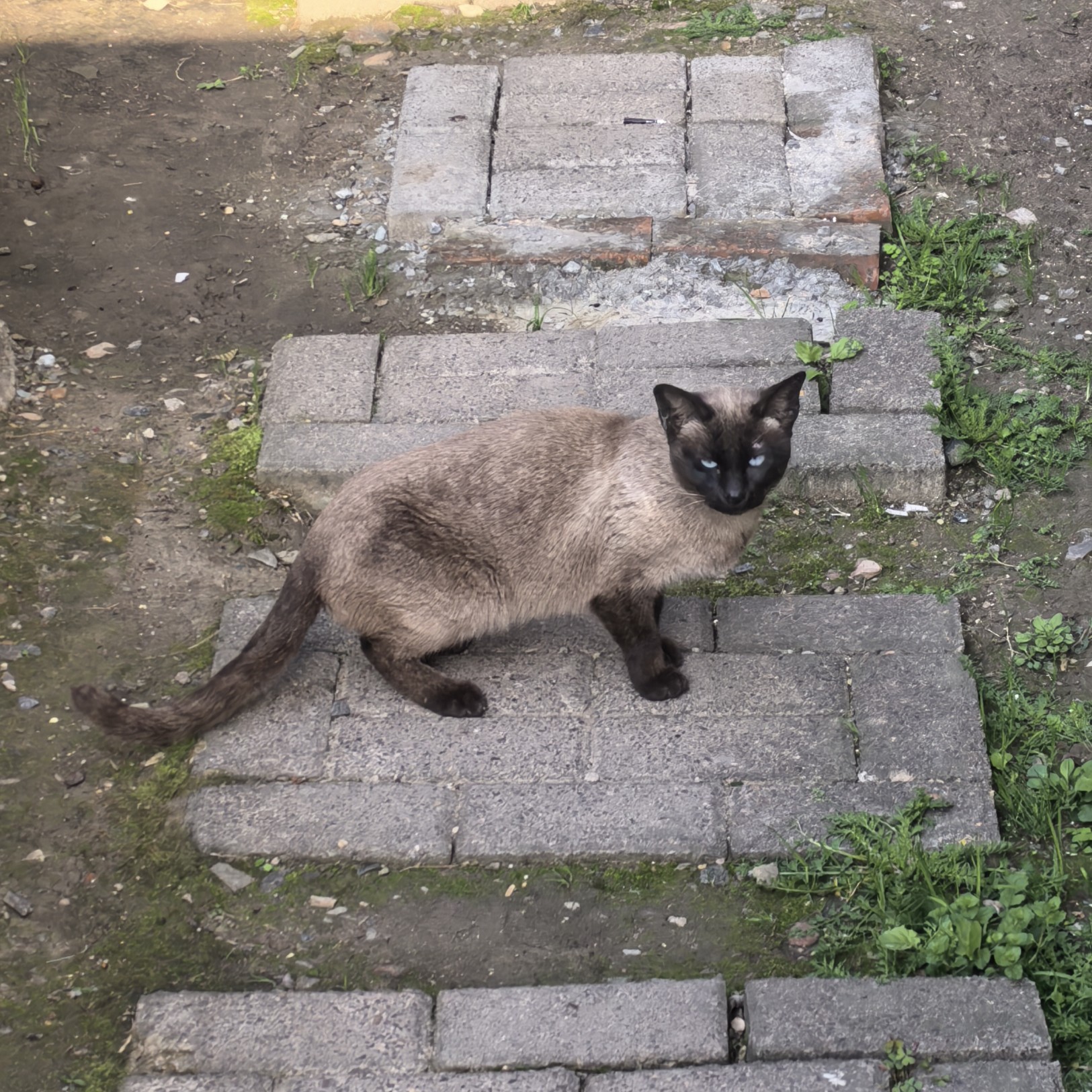 鹿 报名时间：2023-05-04 18:38