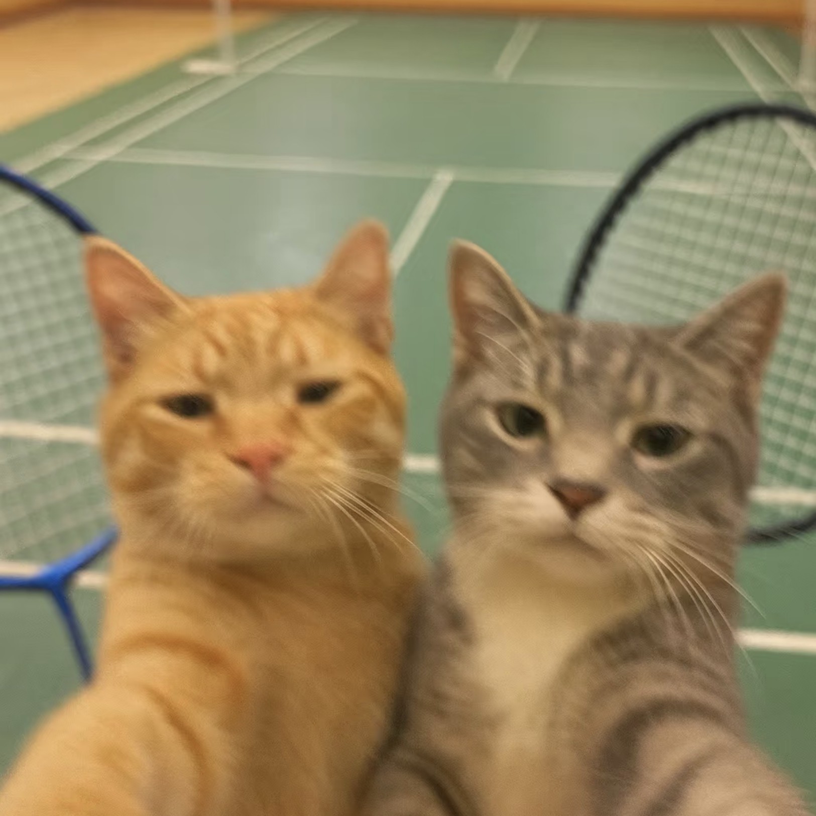 千钧羽球 报名时间：2024-03-26 12:37