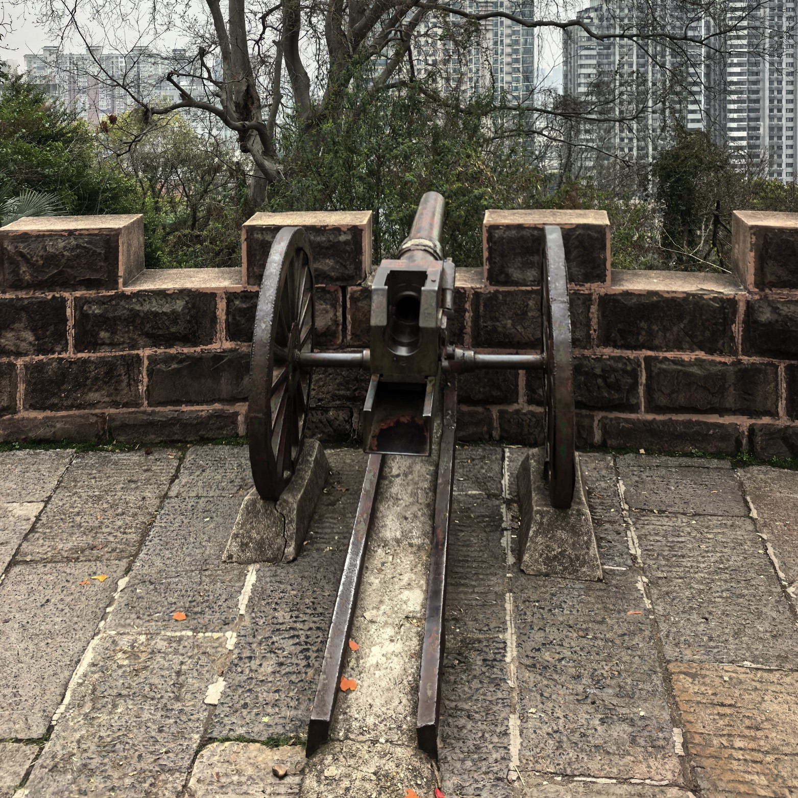 椰林小子 报名时间：2019-12-14 12:54