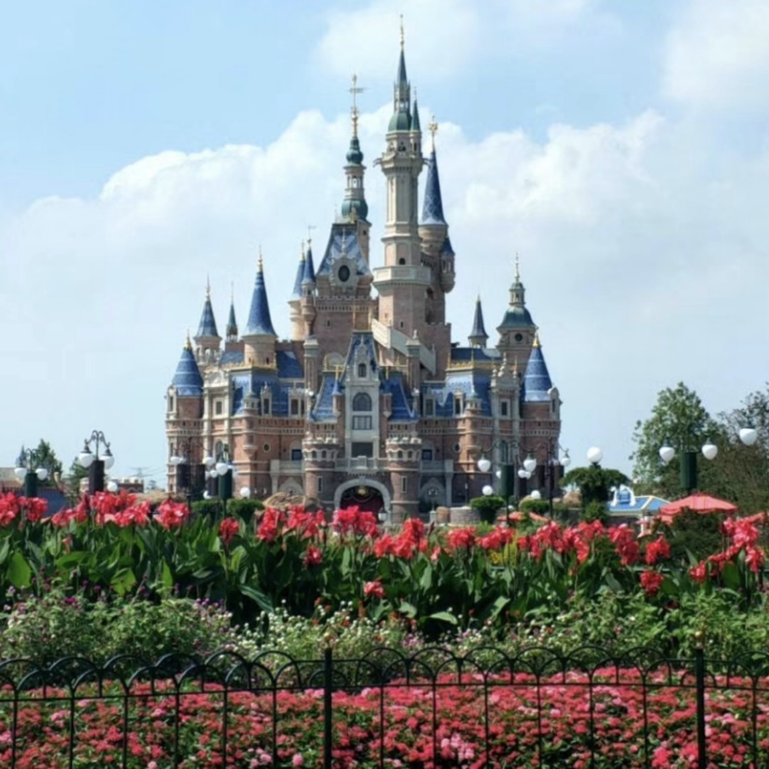 L 报名时间：2024-09-18 09:49