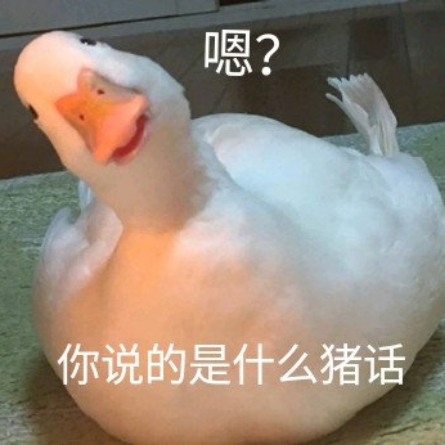 【羽毛球】11月10日周二下午1-4 羽梦翘班场(康梧路258号)